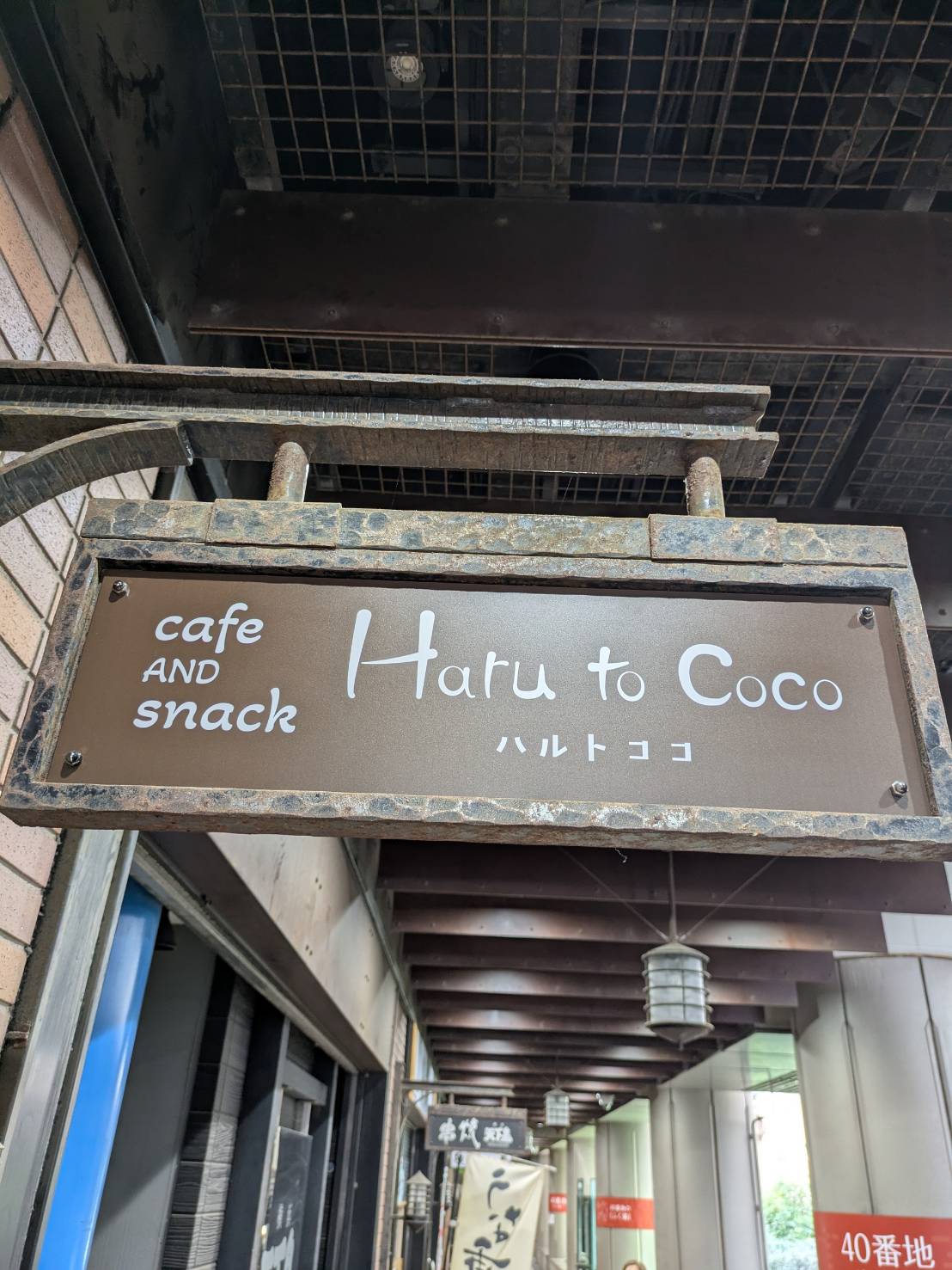 Haru to Coco ハルトココ